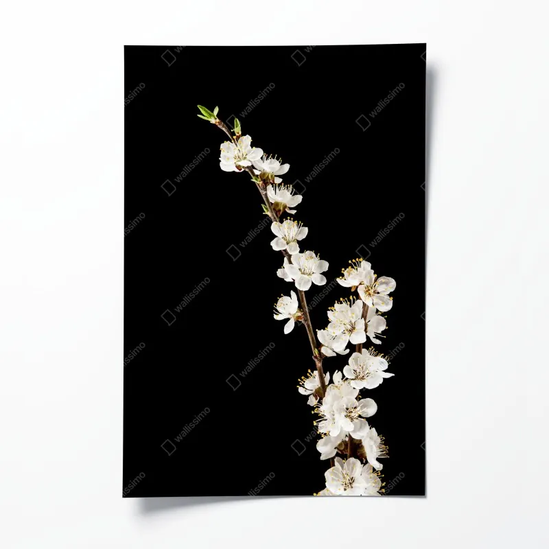 Poster einsamer baum im see in schwarzweiß – Wallnifity®