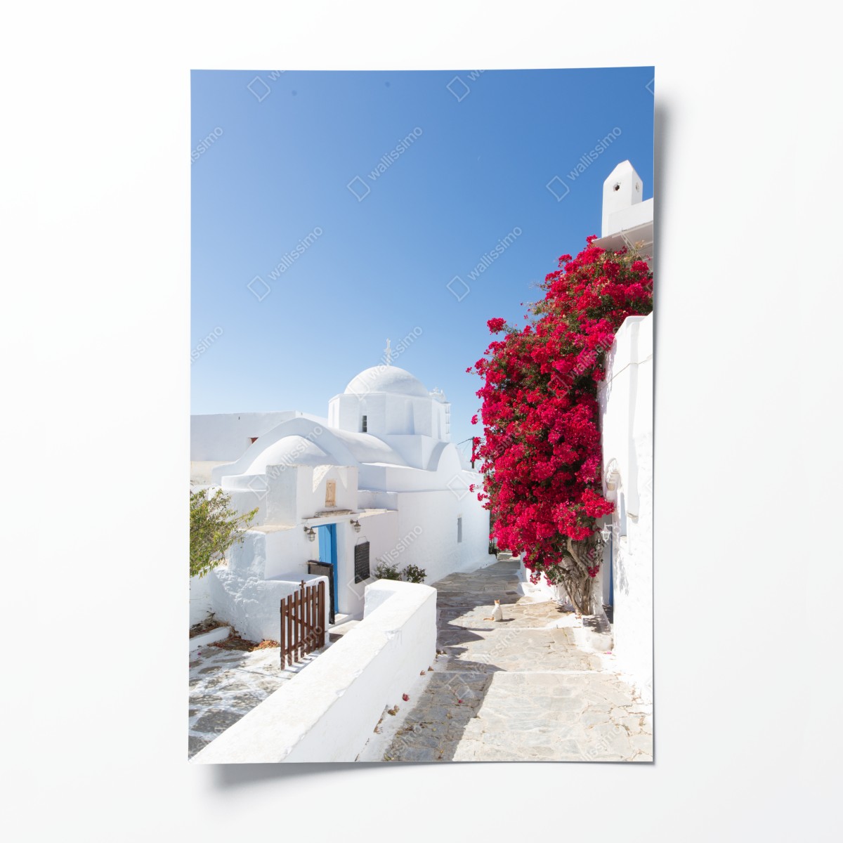 Poster sonnige gasse auf der insel mit leuchtender buganvillea – Wallnifity®
