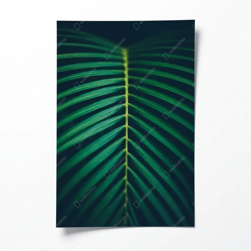 Poster goldener herbstwald am morgen – Wallnifity®