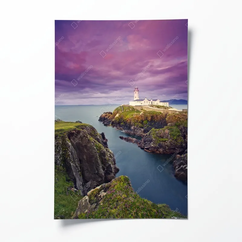 Poster kaktus- und sukkulentenmuster – Wallnifity®