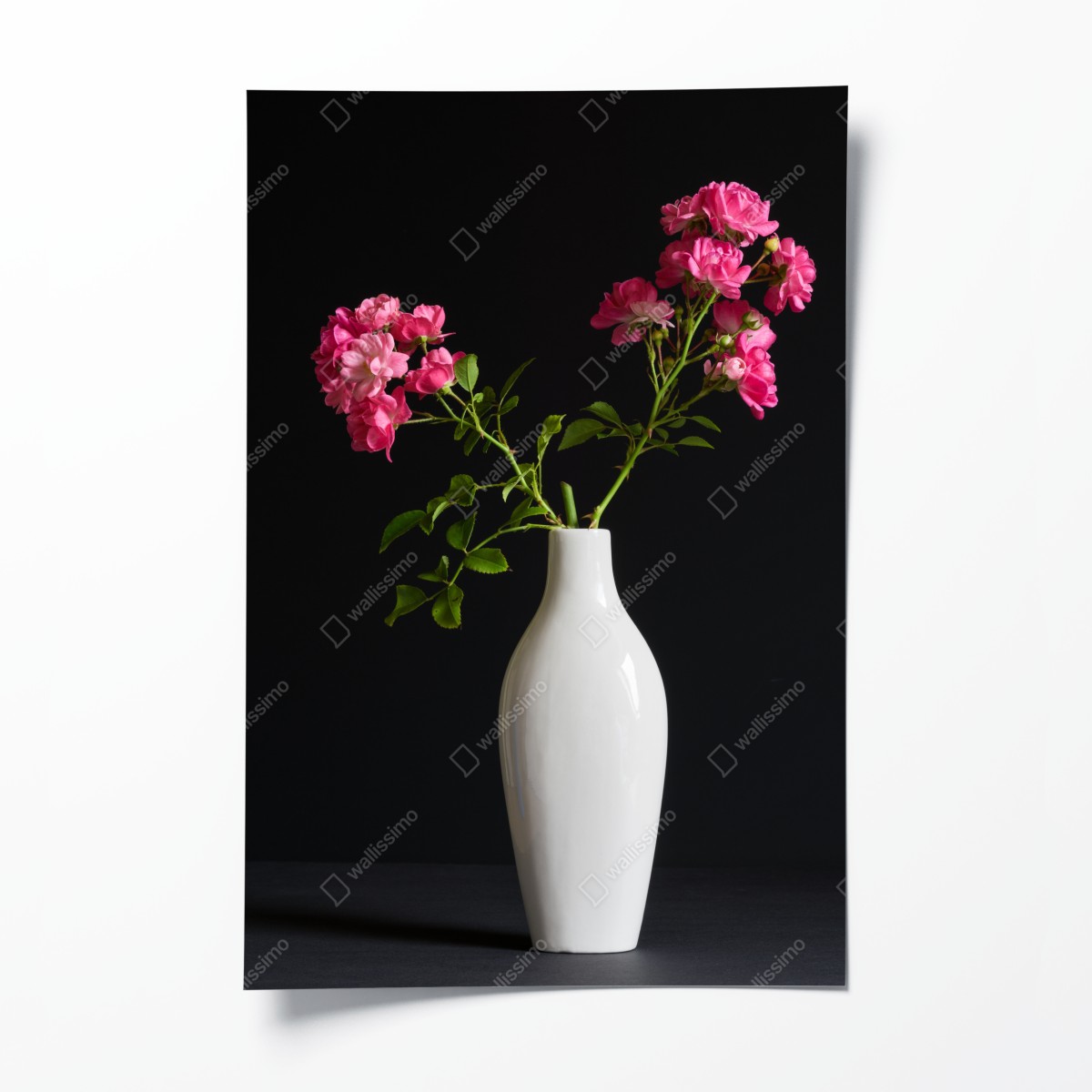 Poster rosa rosen in weißer vase – Wallnifity®