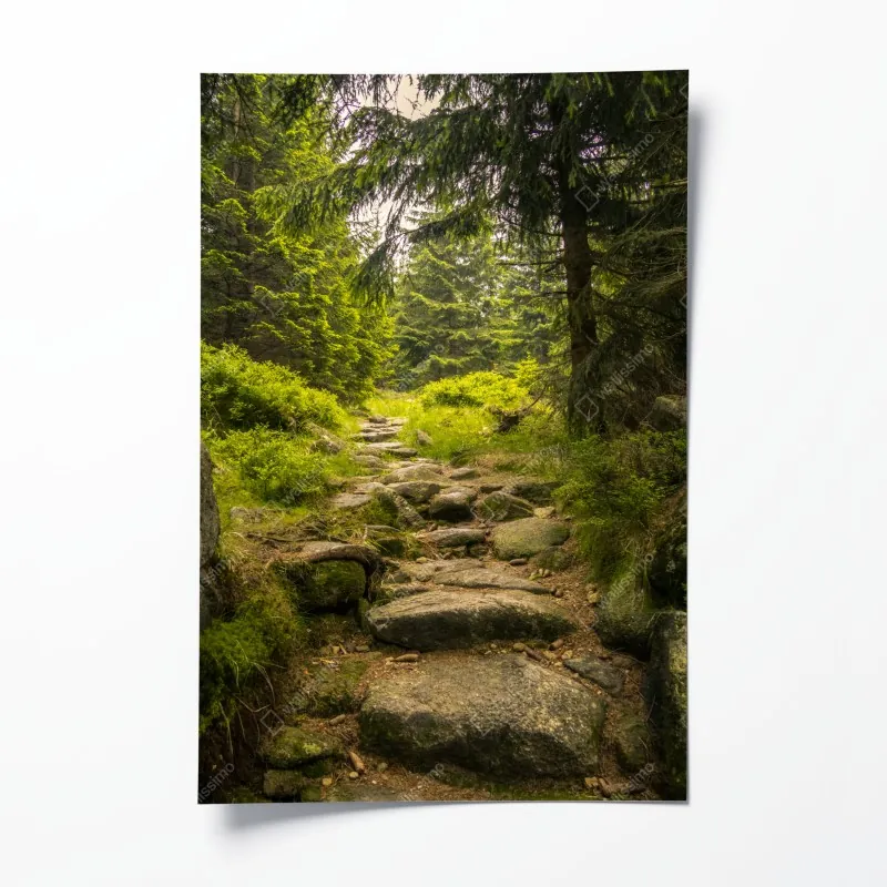 Poster majestätischer herbstlicher sonnenuntergang in den bergen – Wallnifity®