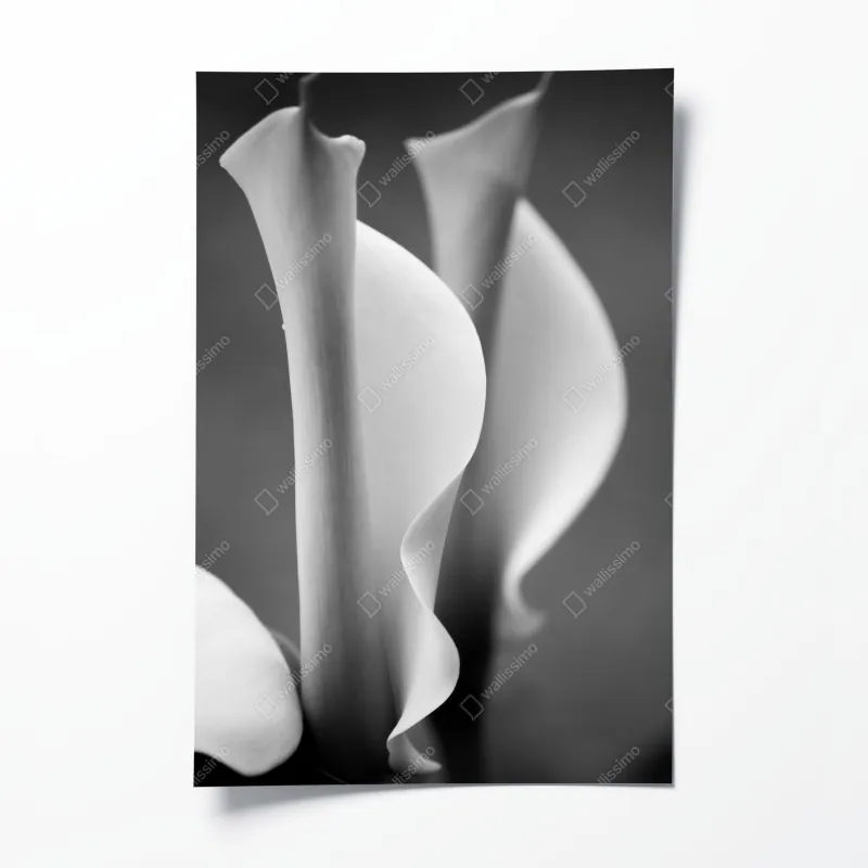 Poster türkis schuppenmuster mit goldakzenten – Wallnifity®