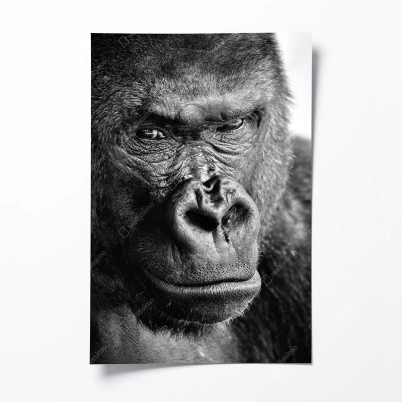 Poster vintage botanisches floralmuster auf tiefgrün – Wallnifity®