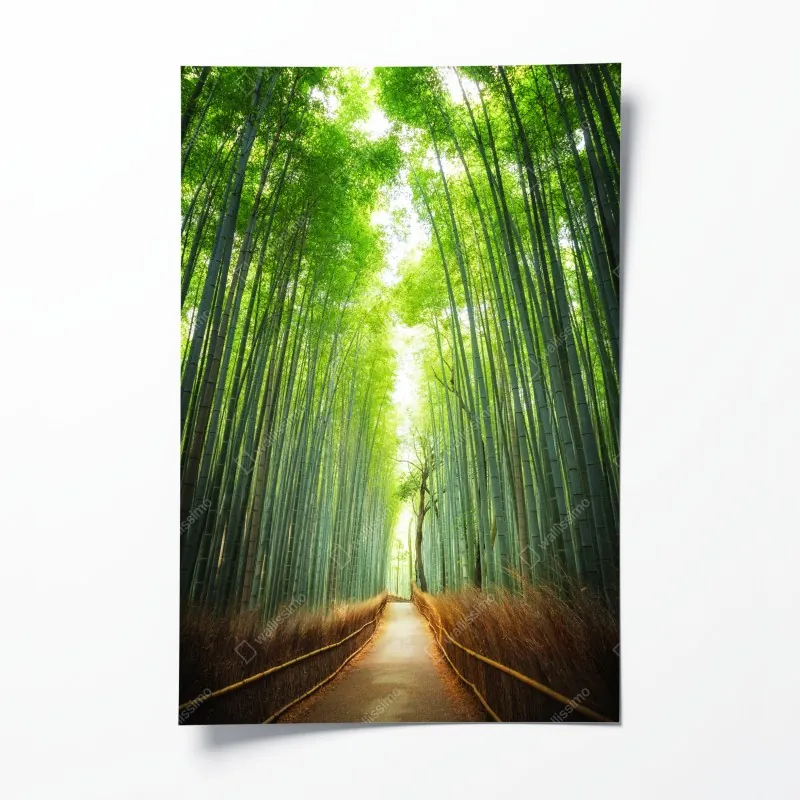 Poster tropische orchideen in aquarell und palmblättern – Wallnifity®