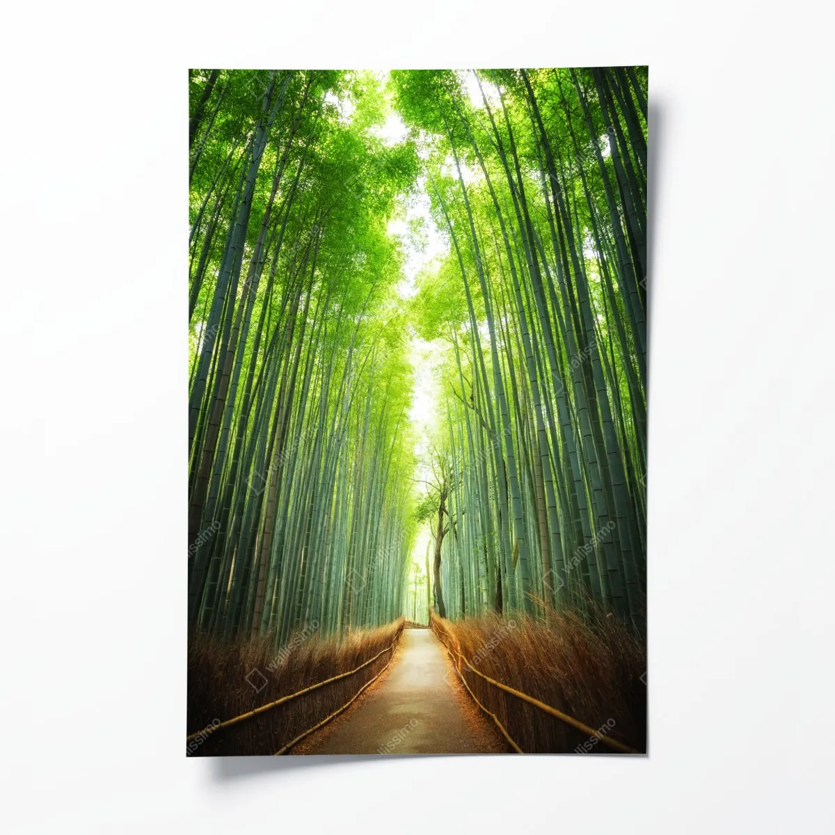 Poster weg durch den bambushain von Arashiyama – Wallnifity®