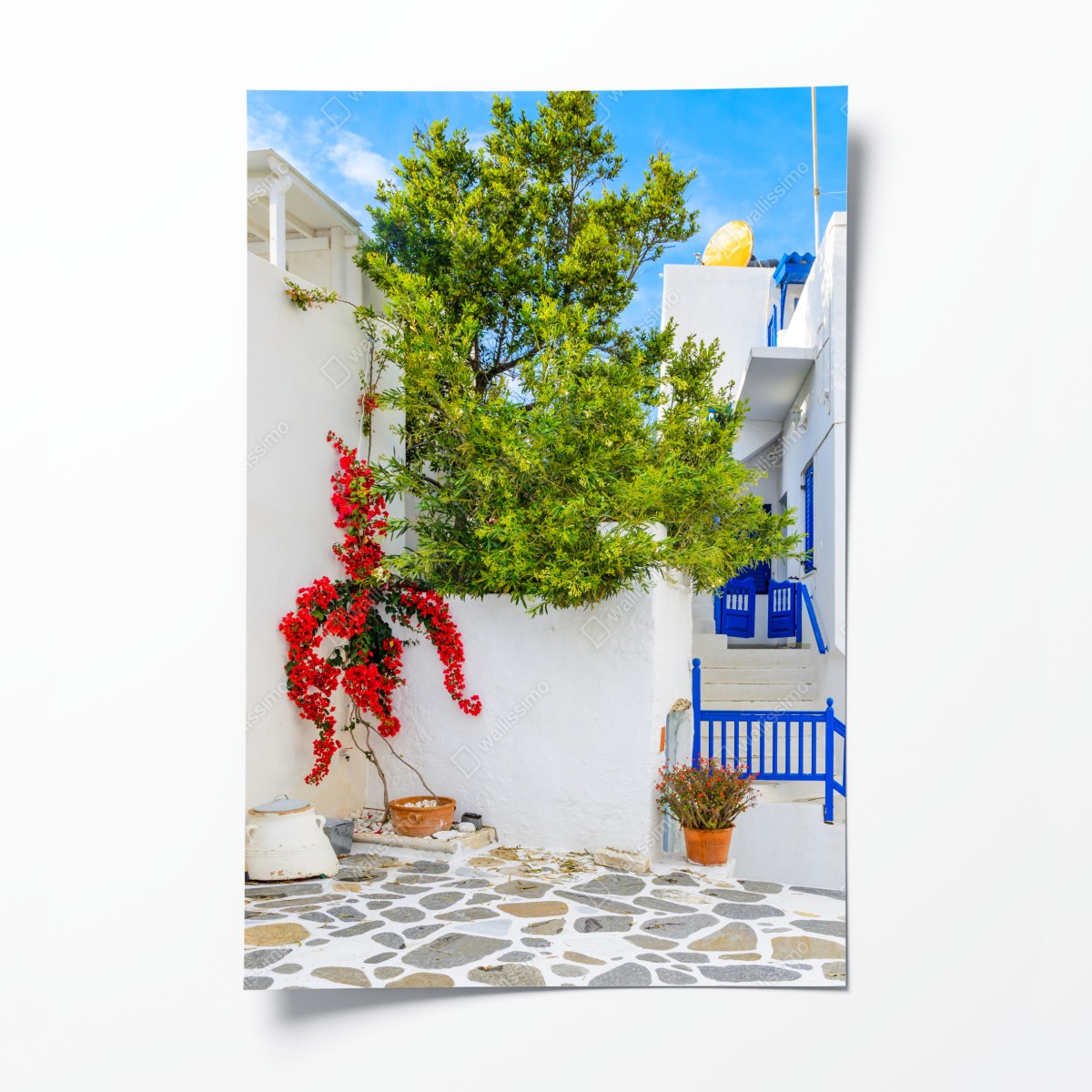 Poster sonniger mediterraner innenhof mit bougainvillea – Wallnifity®