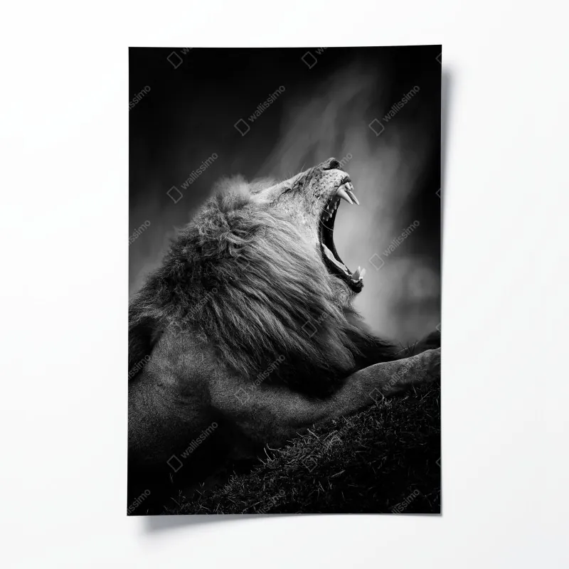 Poster tropische orchideen in aquarell und palmblättern – Wallnifity®