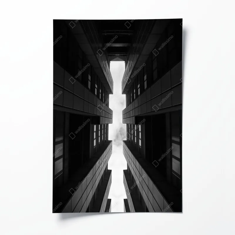 Poster zarter löwenzahn vor türkisfarbenem hintergrund – Wallnifity®