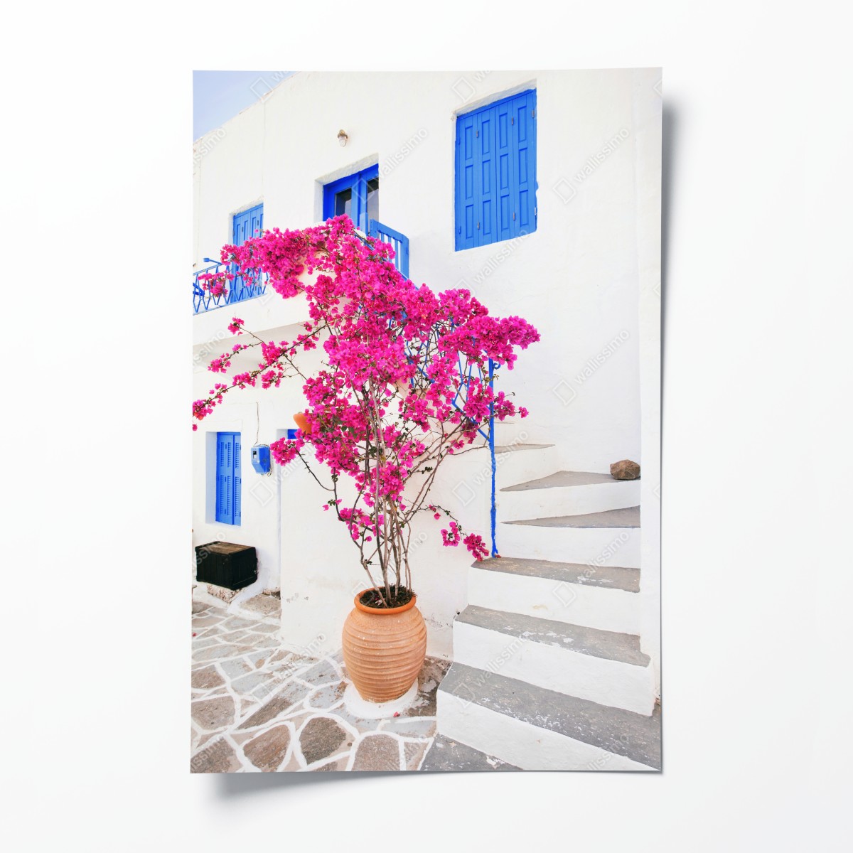 Poster rosa bougainvillea vor weißem haus auf griechischer insel – Wallnifity®