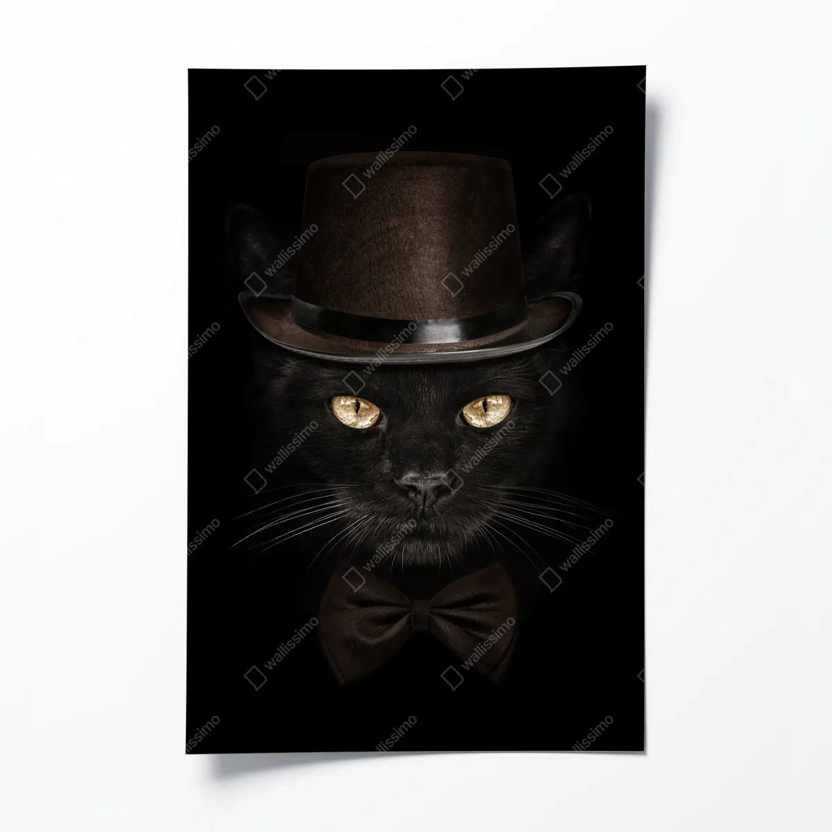 Poster elegante schwarze katze mit zylinder und fliege – Wallnifity®