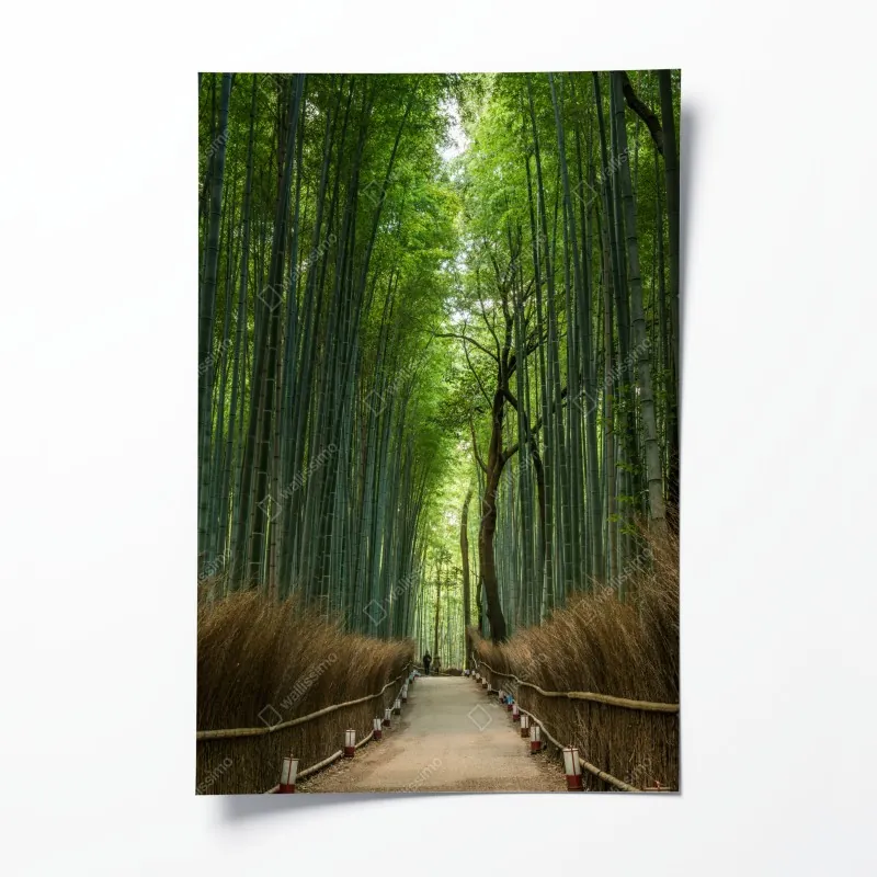 Poster sonnige bögen in Ravello – Wallnifity®