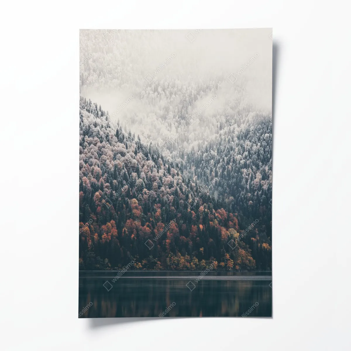 Poster herbstlicher nebel über bergwald – Wallnifity®