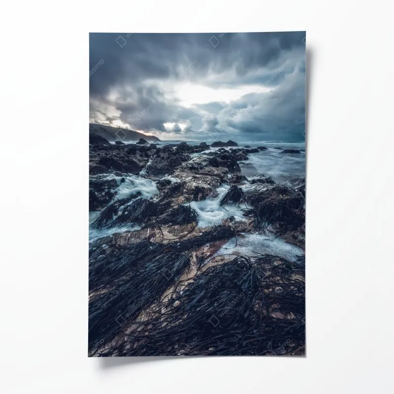 Poster sonnige grüne wiese – Wallnifity®