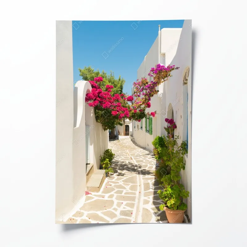 Poster zarte nahaufnahme von löwenzahnsamen in monochrom – Wallnifity®