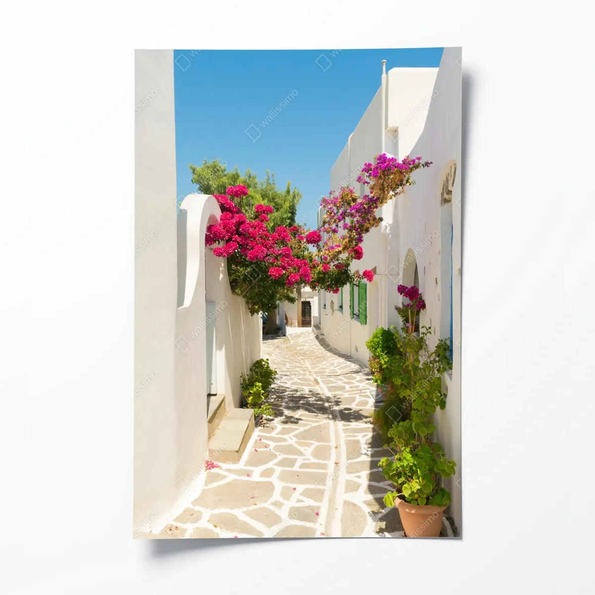 Poster sonnige mediterrane gasse mit bougainvillea – Wallnifity®