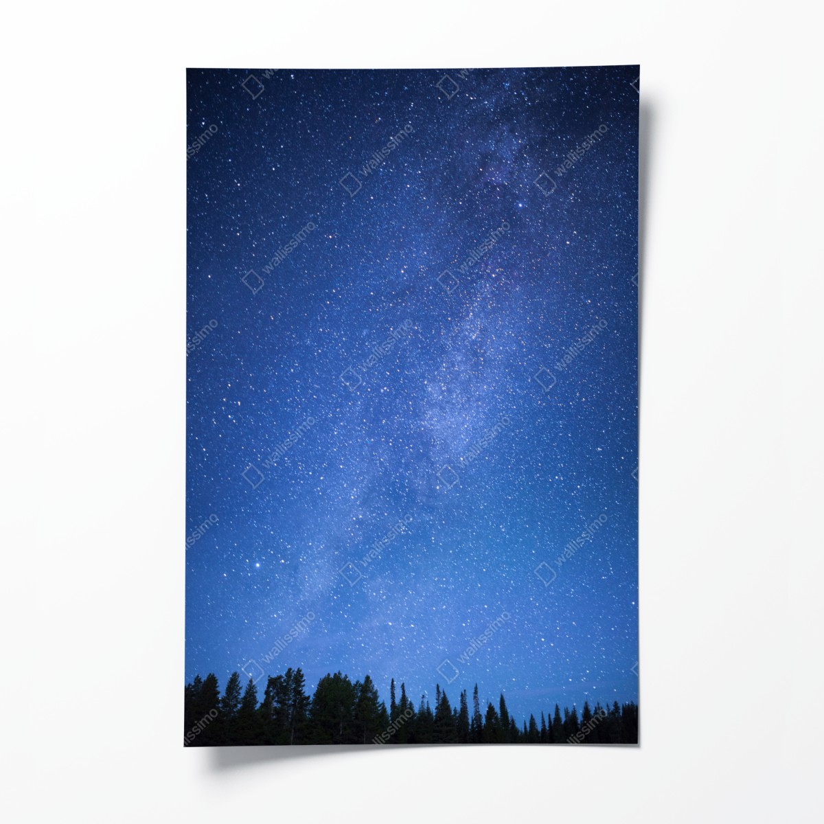 Poster sternenklare Milchstraße über dem Wald – Wallnifity®