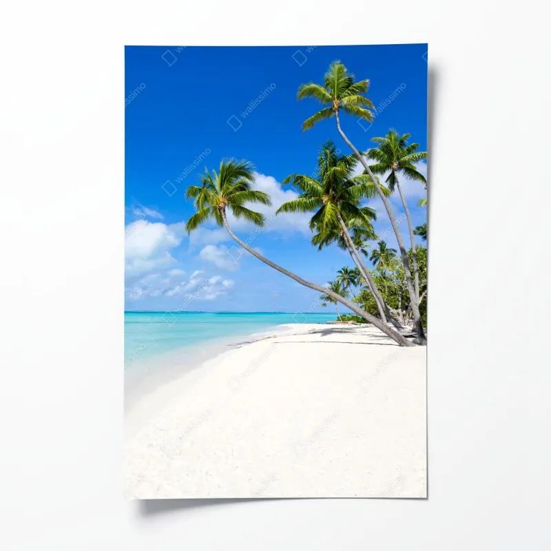 Poster moosiger wald mit bach im nebel – Wallnifity®