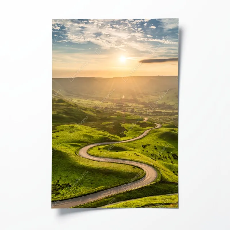 Poster nahaufnahme eines opuntienkaktus – Wallnifity®