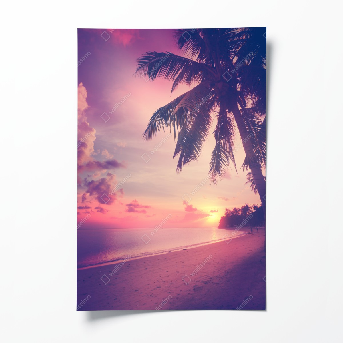 Poster tropischer sonnenuntergang am strand – Wallnifity®