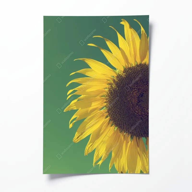 Poster tropischer palmstrand – Wallnifity®