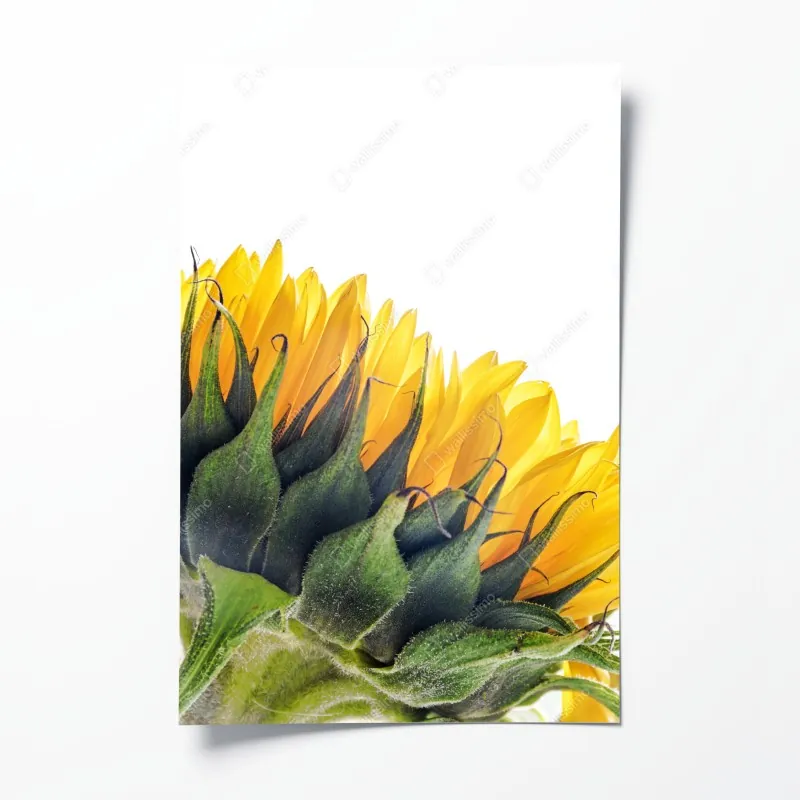 Poster endlose wand aus roten rosen – Wallnifity®