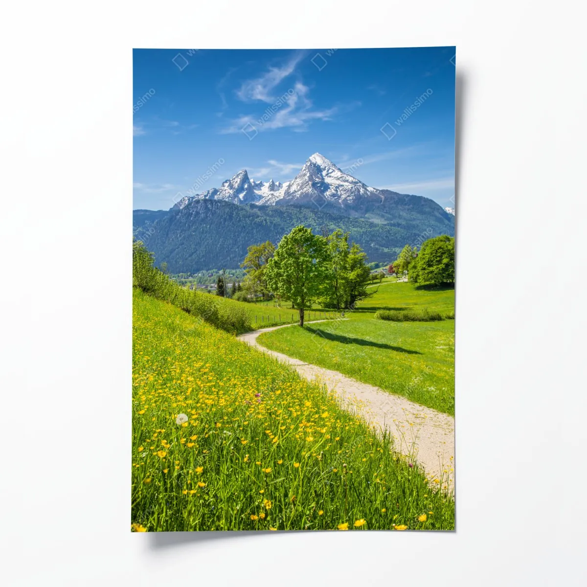 Poster alpenwiese und bergpfad – Wallnifity®