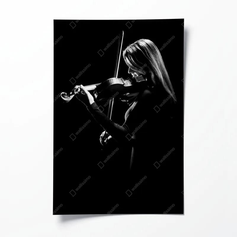 Poster mangrovensteg durch üppigen grünen dschungel – Wallnifity®