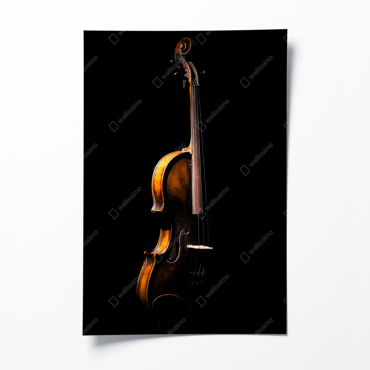 Poster elegante vintage-geige vor schwarzem hintergrund – Wallnifity®