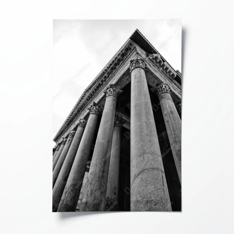 Poster nebliger morgenwald mit sonnenstrahlen – Wallnifity®