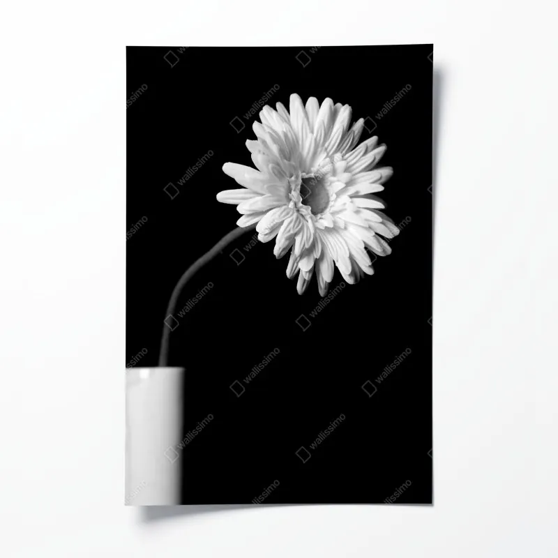 Poster endlose wand aus roten rosen – Wallnifity®
