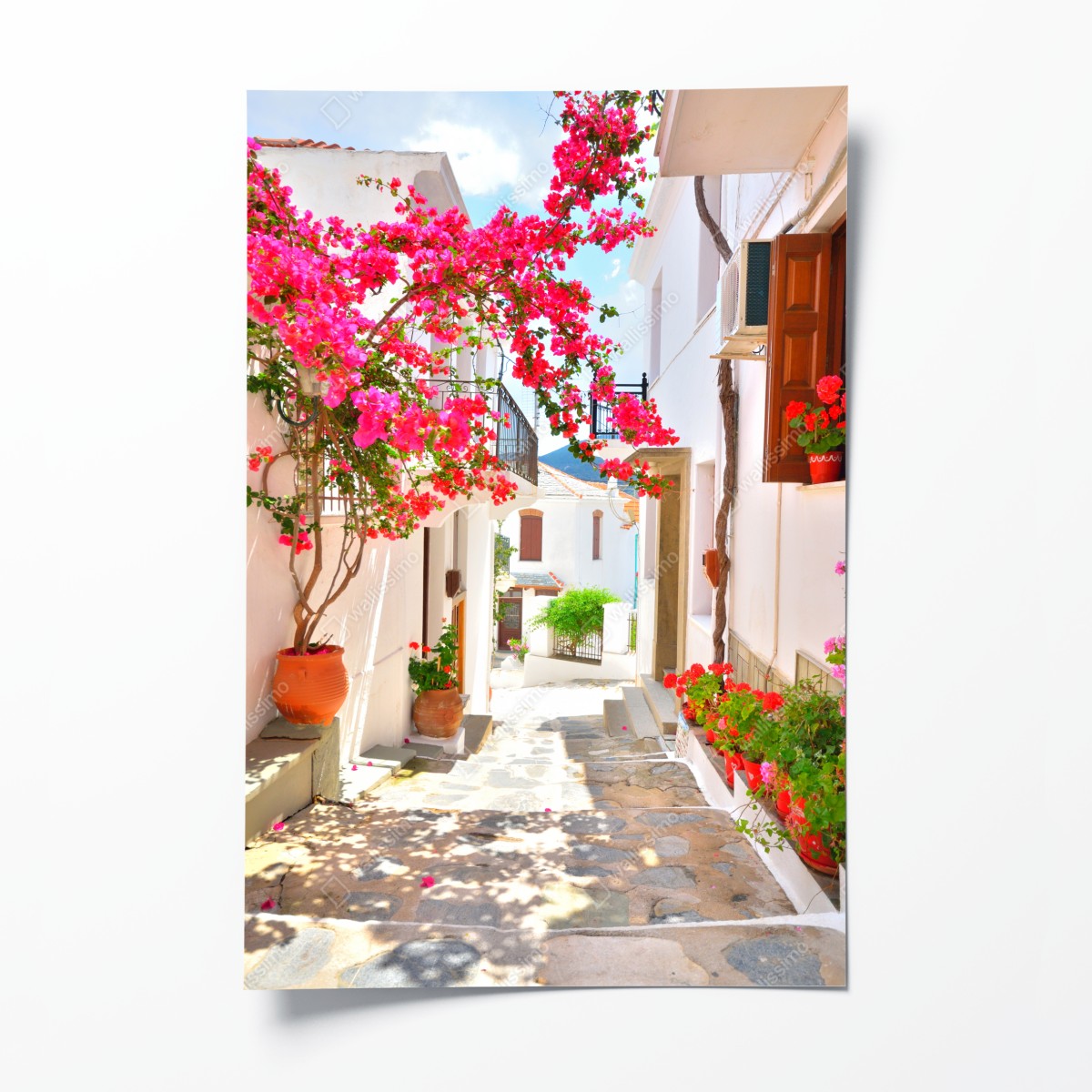 Poster sonnige mediterrane gasse mit bougainvillea – Wallnifity®