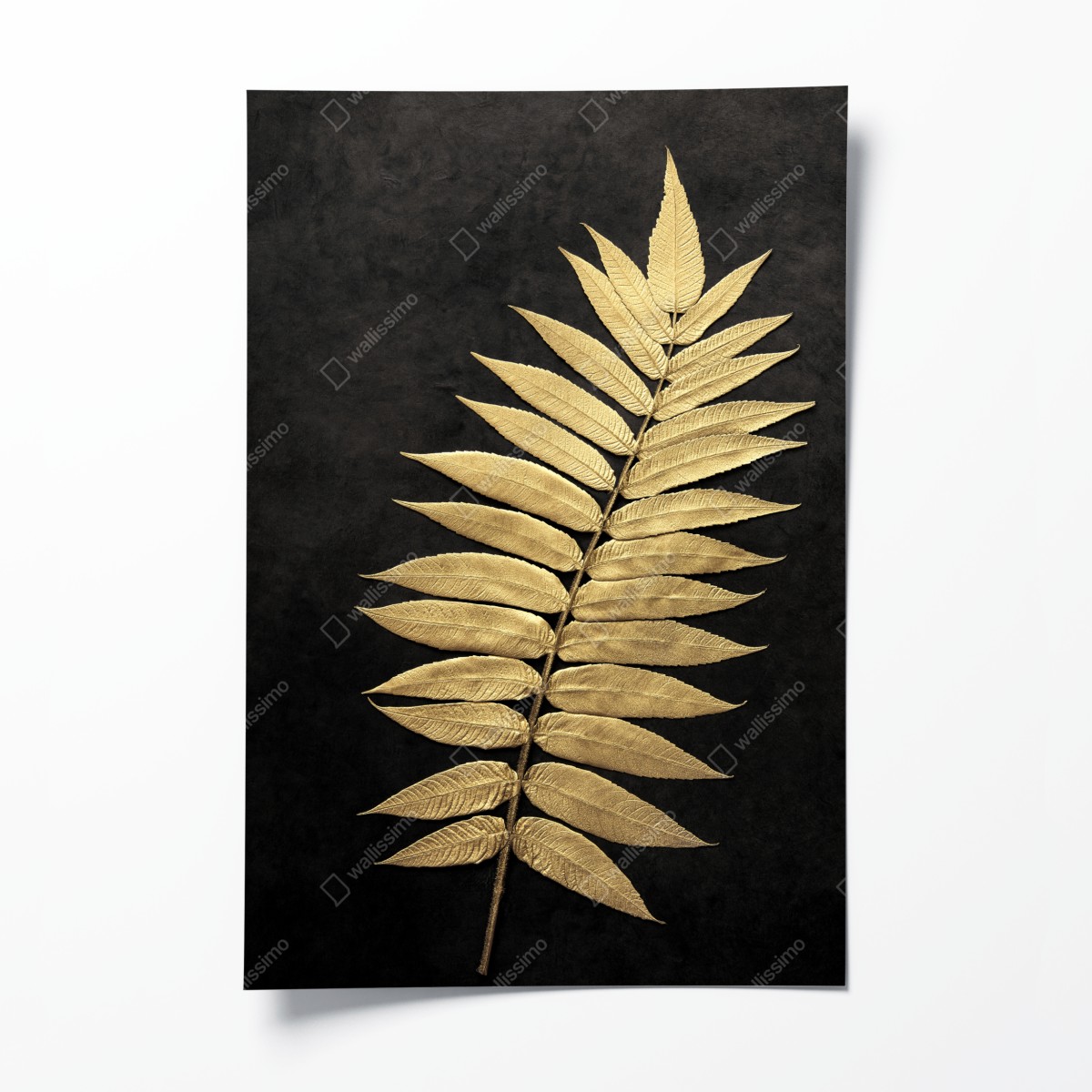 Poster goldener farn vor dunklem hintergrund – Wallnifity®