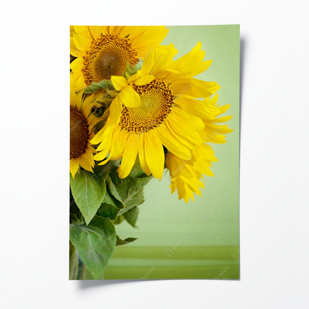 Poster heller sonnenblumenstrauß auf grünem hintergrund – Wallnifity®