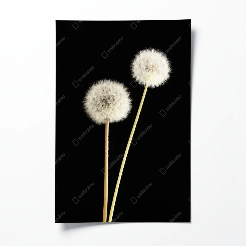 Poster ruhiger fjord bei sonnenuntergang – Wallnifity®