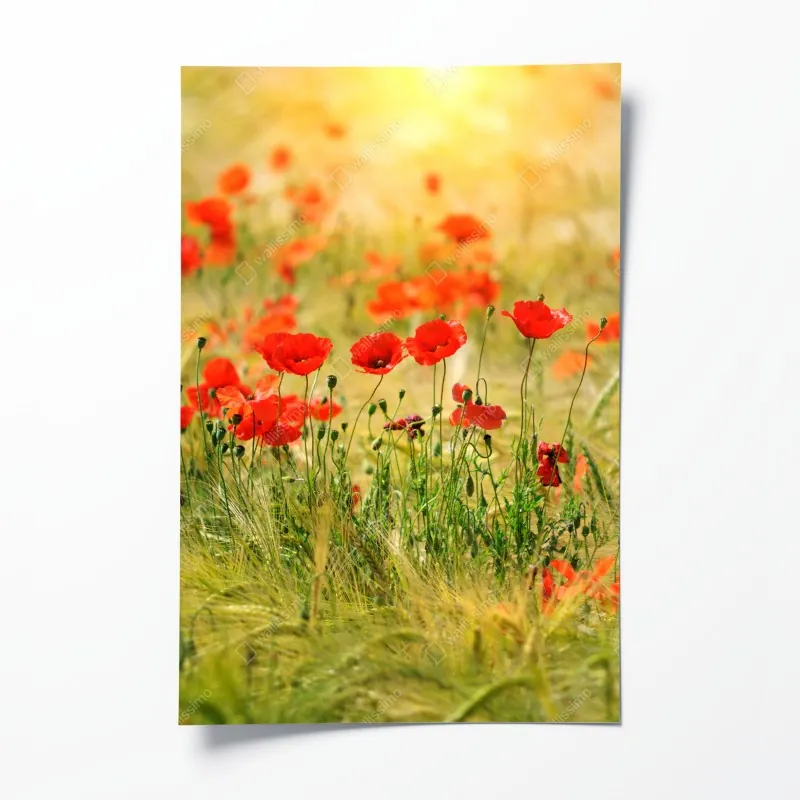 Poster weißer marmor mit goldenen adern – Wallnifity®