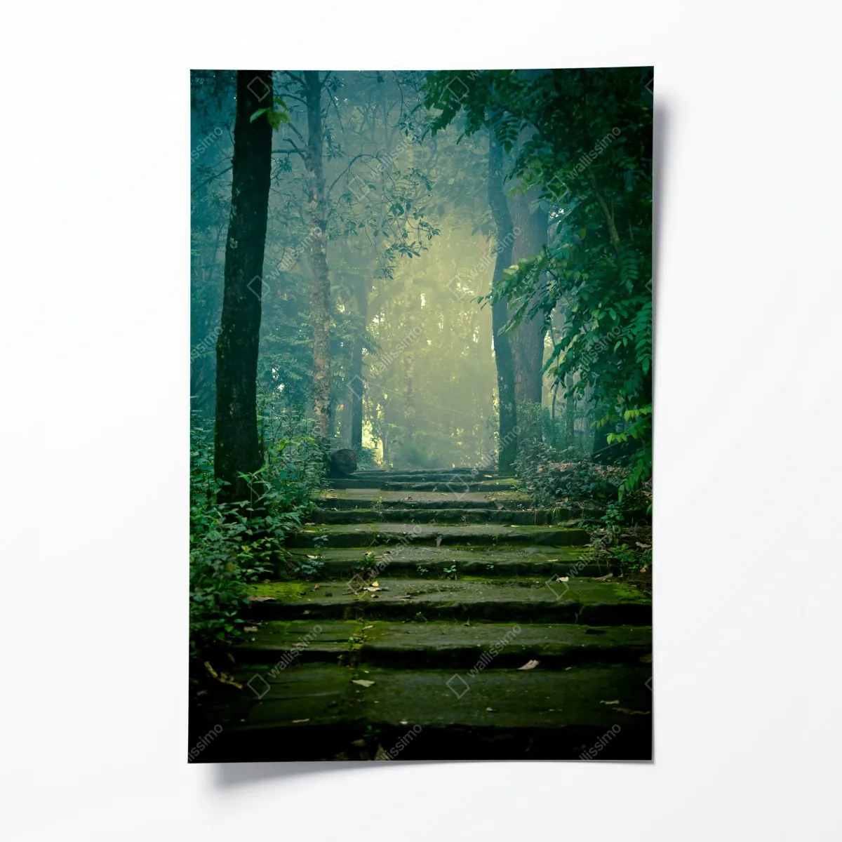 Poster moosbedeckte steintreppe in den nebligen wald – Wallnifity®