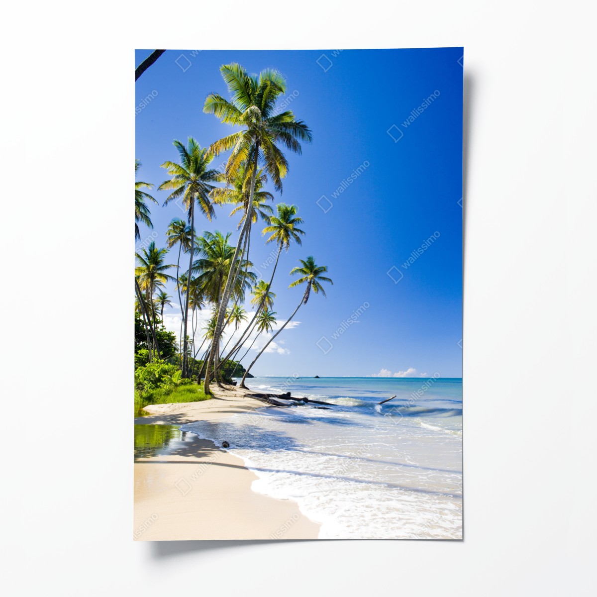 Poster tropischer palmenstrand unter blauem himmel – Wallnifity®