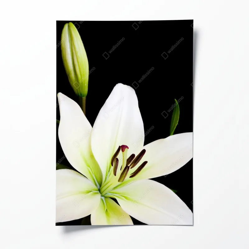 Poster farbenfrohes geometrisches muster – Wallnifity®