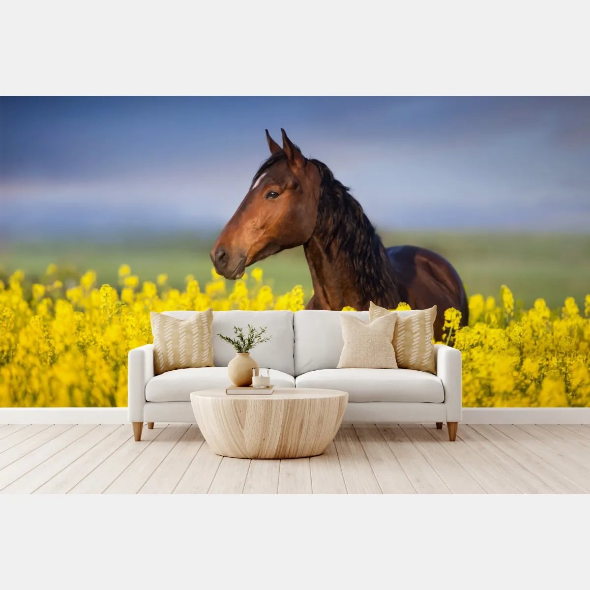 Fototapete braunes pferd im gelben rapsfeld – Wallnifity®