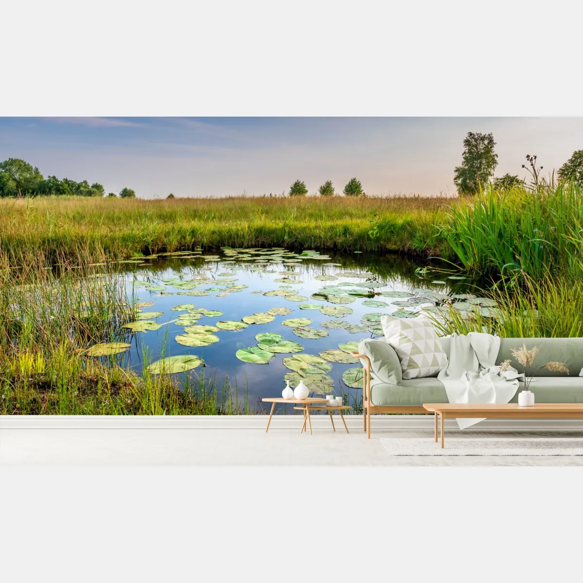 Fototapete ruhiger seerosen-teich in der wiese – Wallnifity®
