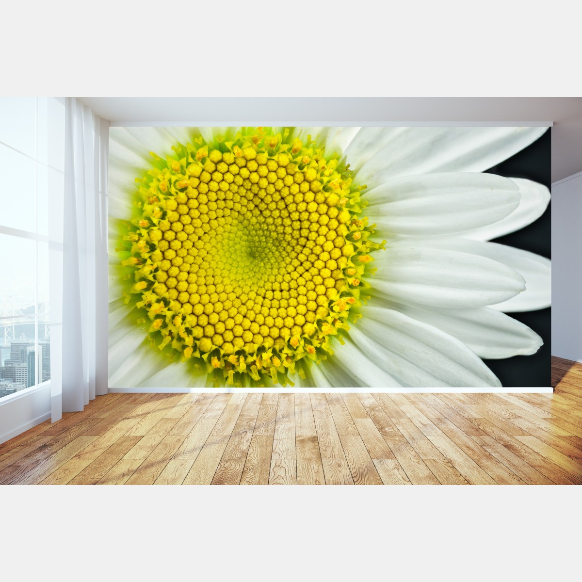 Fototapete makro gänseblümchen spiralmuster – Wallnifity®