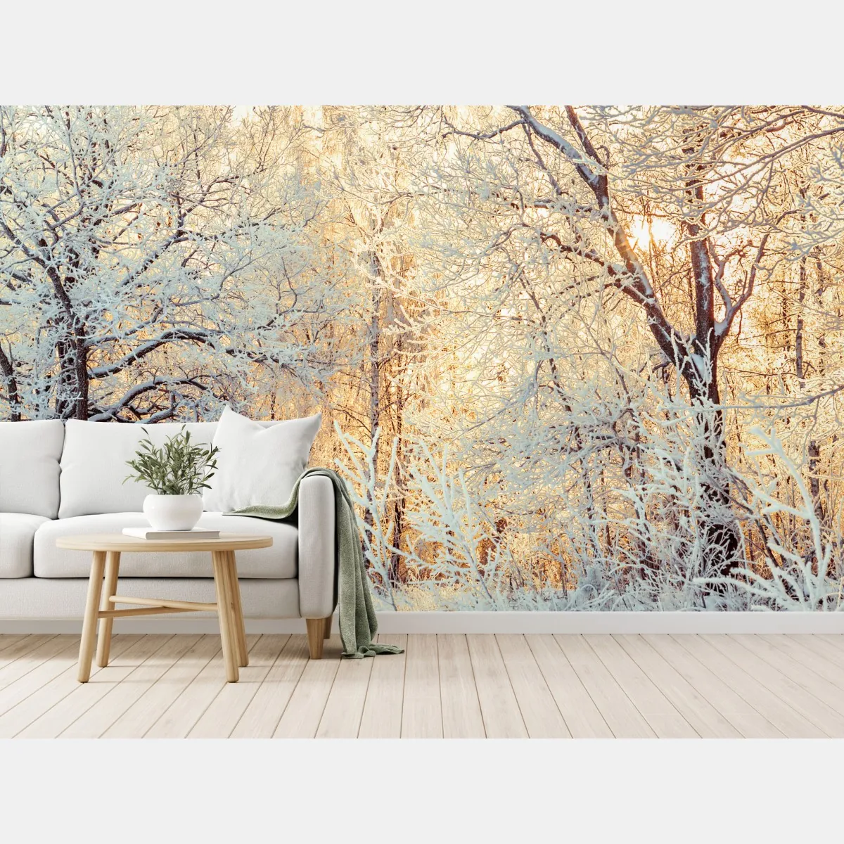 Fototapete wintersonne im verschneiten wald – Wallnifity®