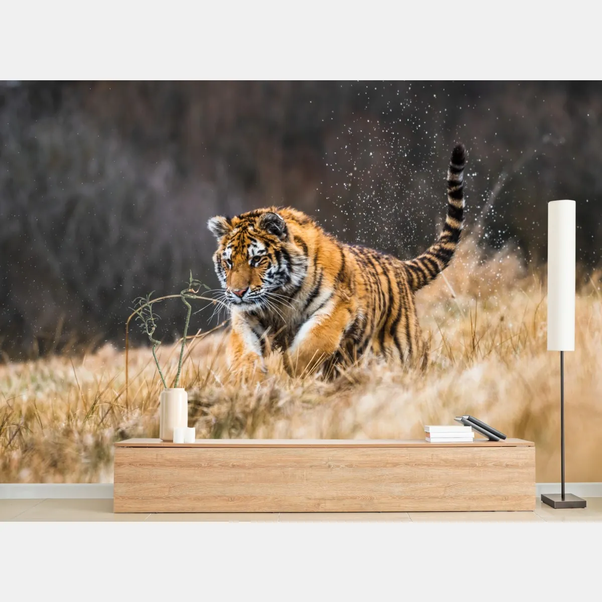 Fototapete sibirischer tiger in bewegung – Wallnifity®