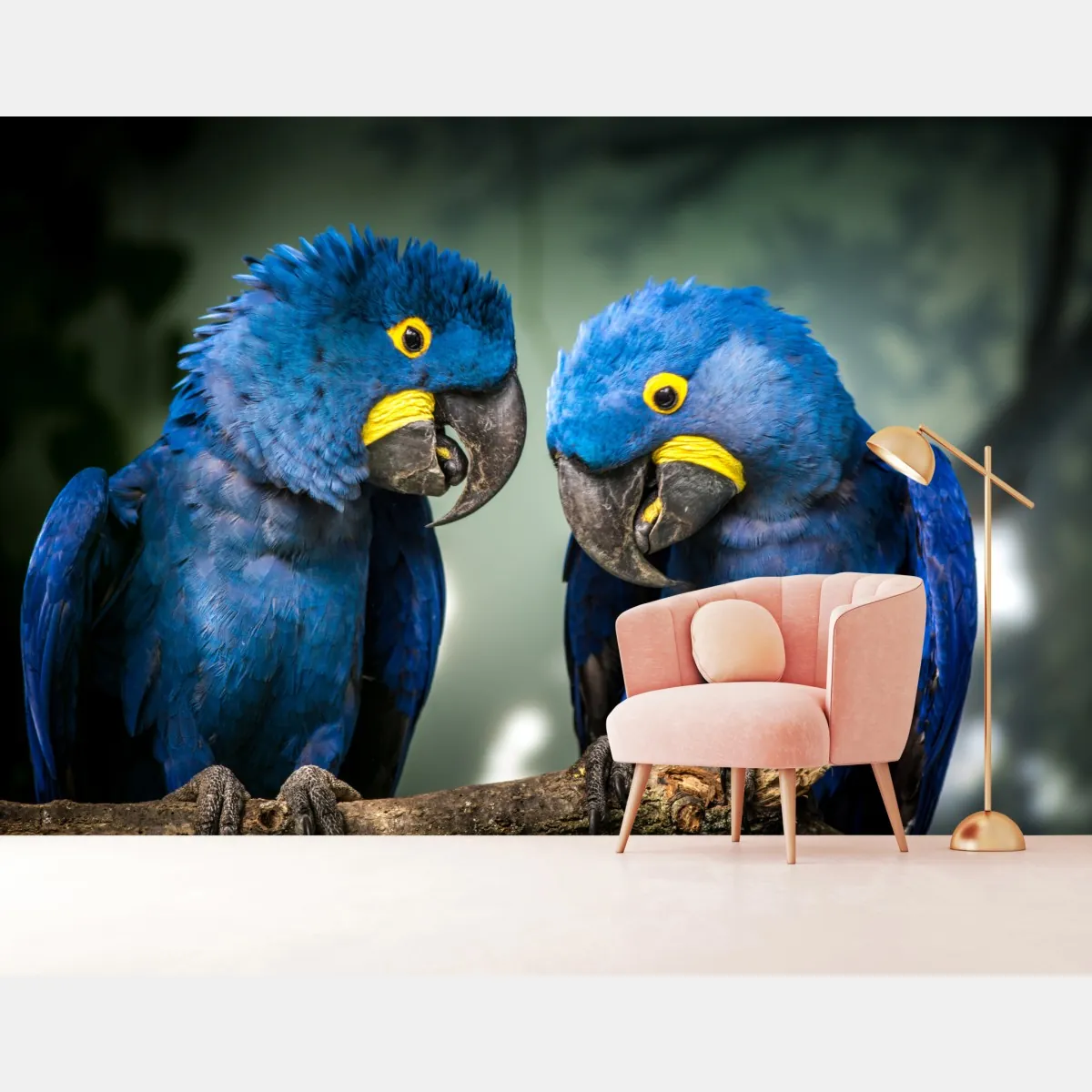 Fototapete paar blauer aras - nahaufnahme – Wallnifity®