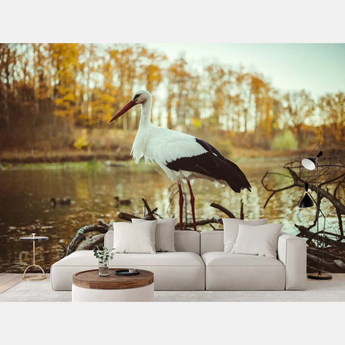 Fototapete weißer storch am herbstlichen see – Wallnifity®