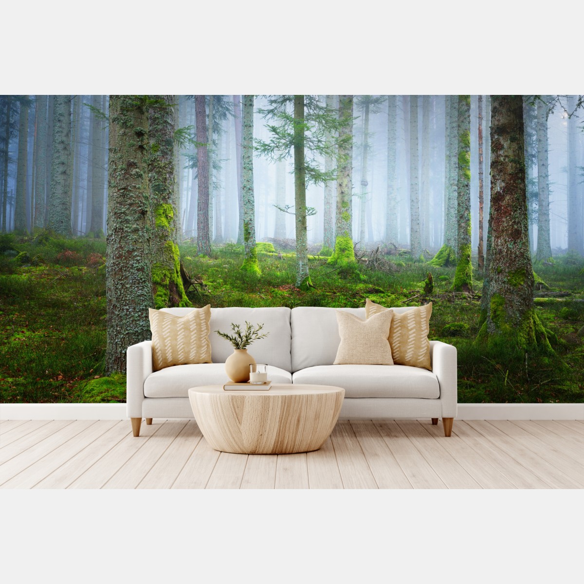 Fototapete nebliger kiefernwald aus dem Elsass – Wallnifity®