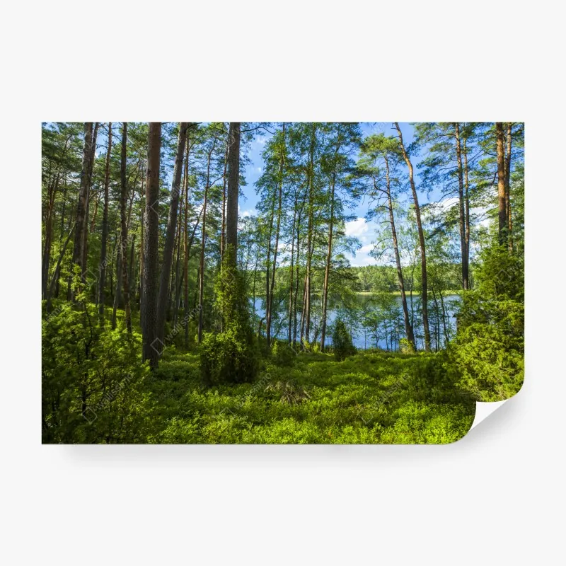 Fototapete handgezeichnete wale und ozeanwellen – Wallnifity®