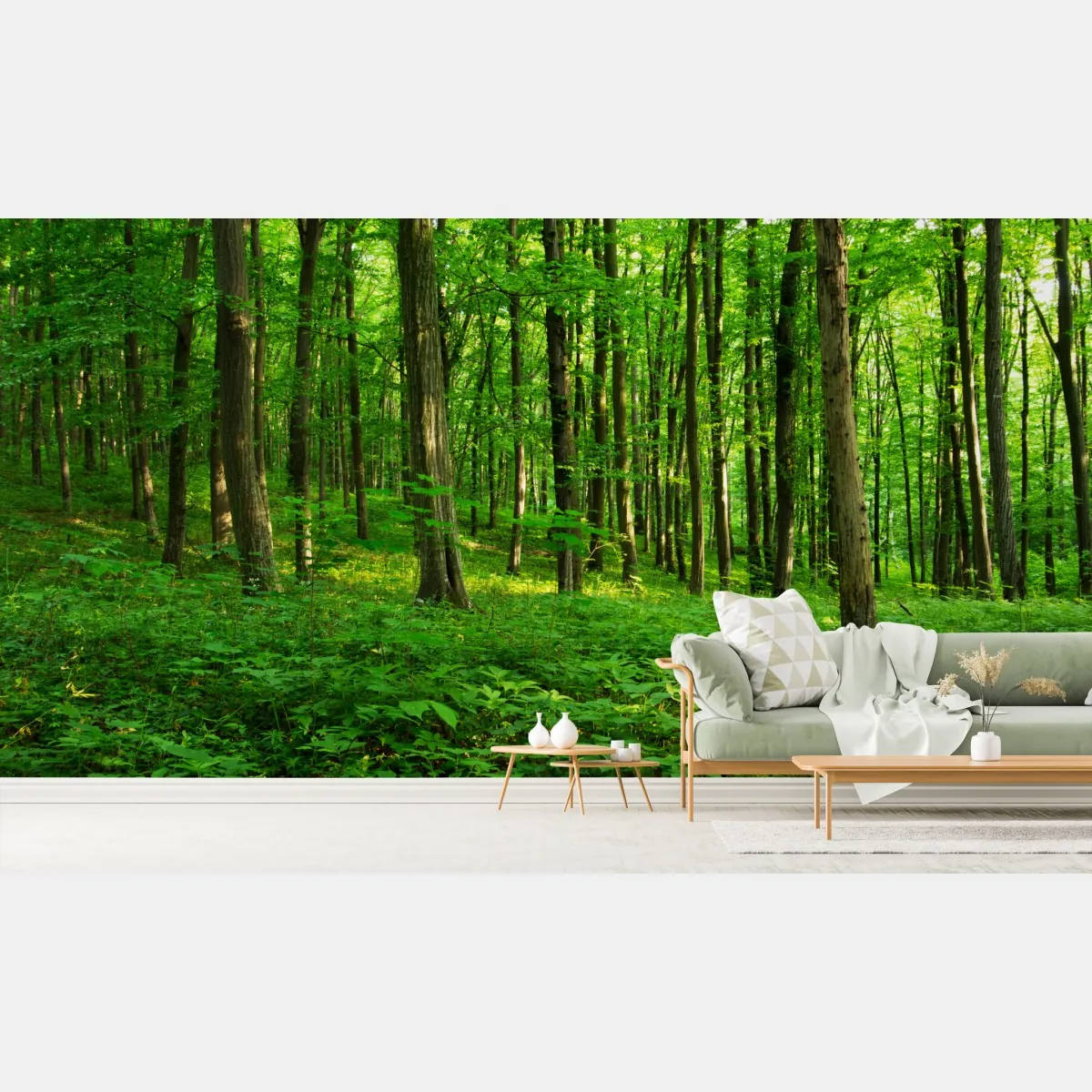 Fototapete sonniger grüner wald im frühling – Wallnifity®