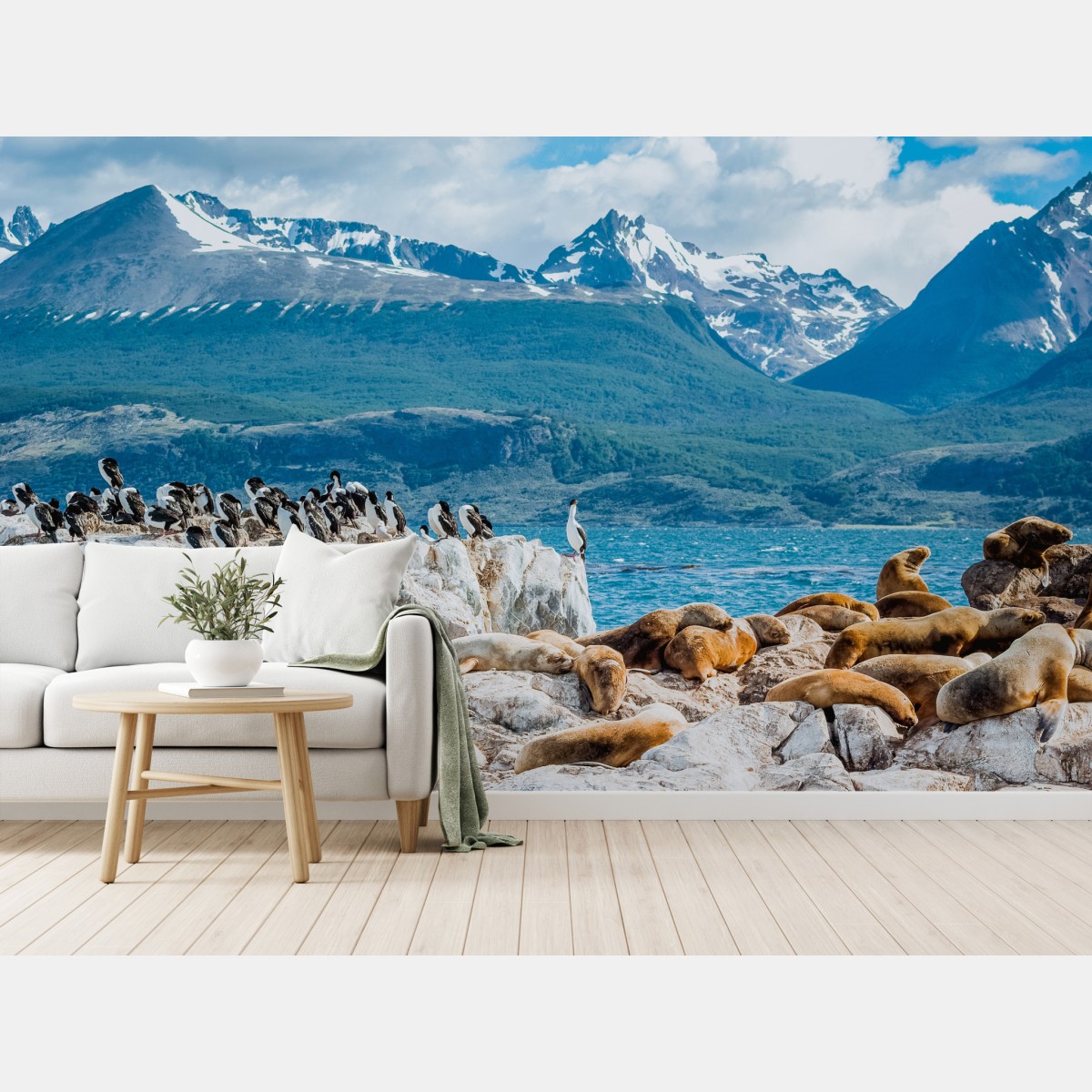 Fototapete seelöwen und seevögel an der felsküste – Wallnifity®